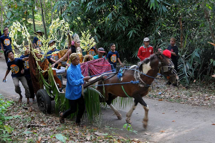 Warga menggunakan kereta kuda saat mengikuti 'Festival Memeden Gadhu'.