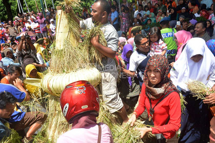 Warga berebut gunungan hasil bumi yang dikirab.