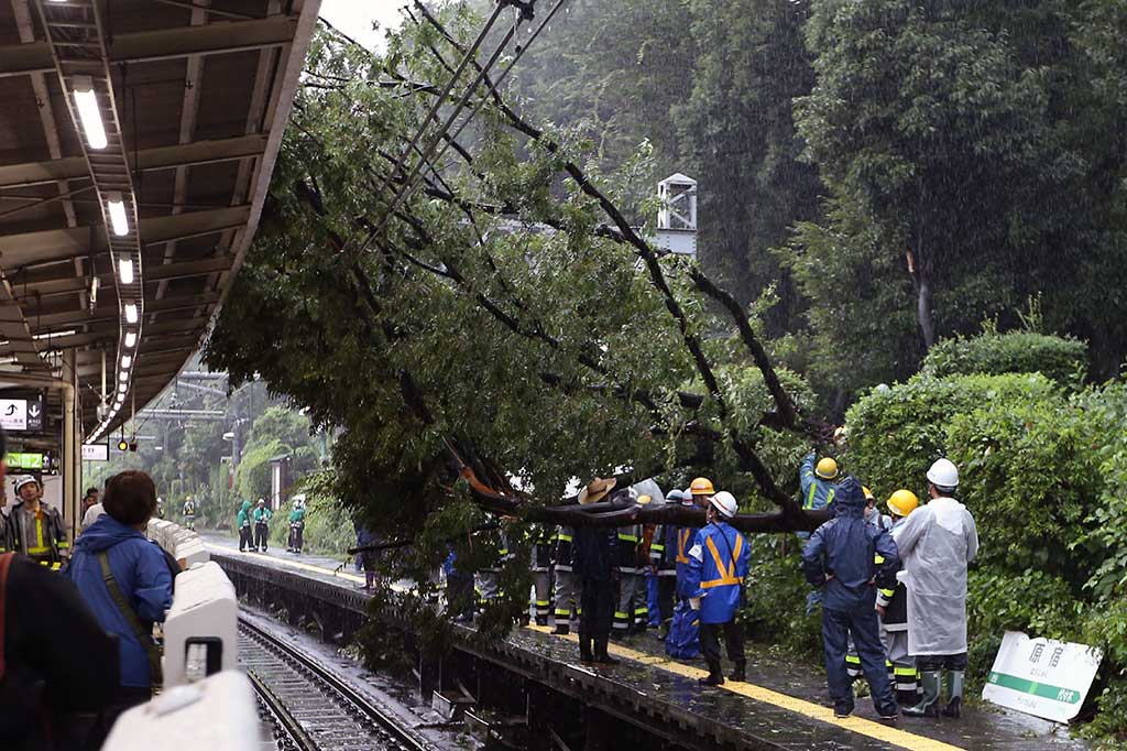 Sebuah pohon tumbang menghalangi stasiun kereta api di Tokyo.