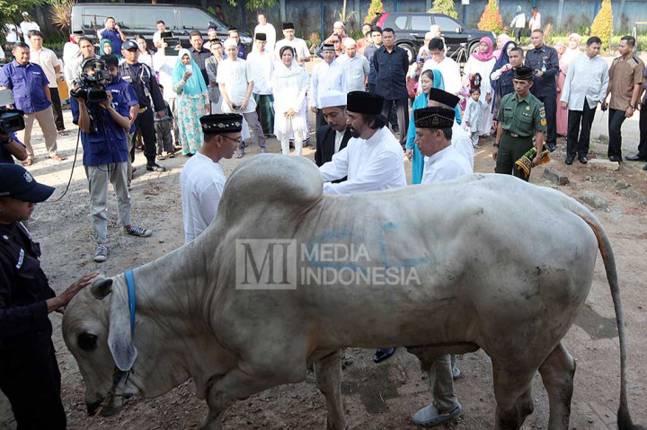 Chairman Media Group Surya Paloh (tengah) menyerahkan hewan kurban kepada Ketua Panitia Idul Kurban Media Group Ismadi (kiri).