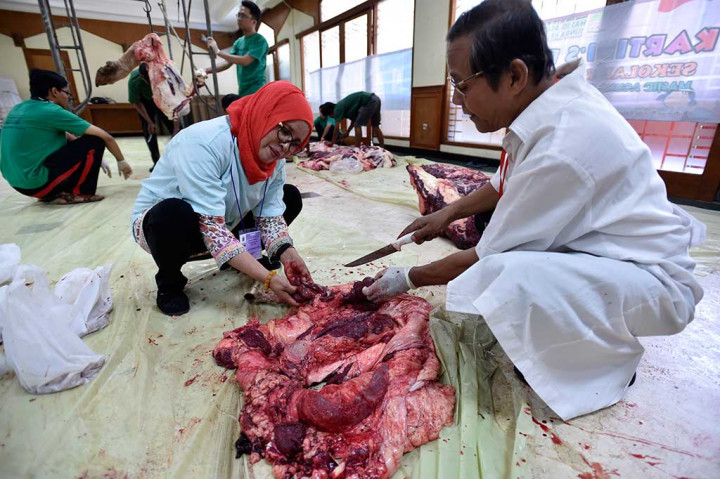 Petugas Periksa Kelayakan Daging Kurban
