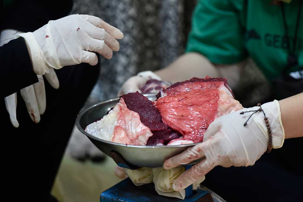 Petugas Periksa Kelayakan Daging Kurban