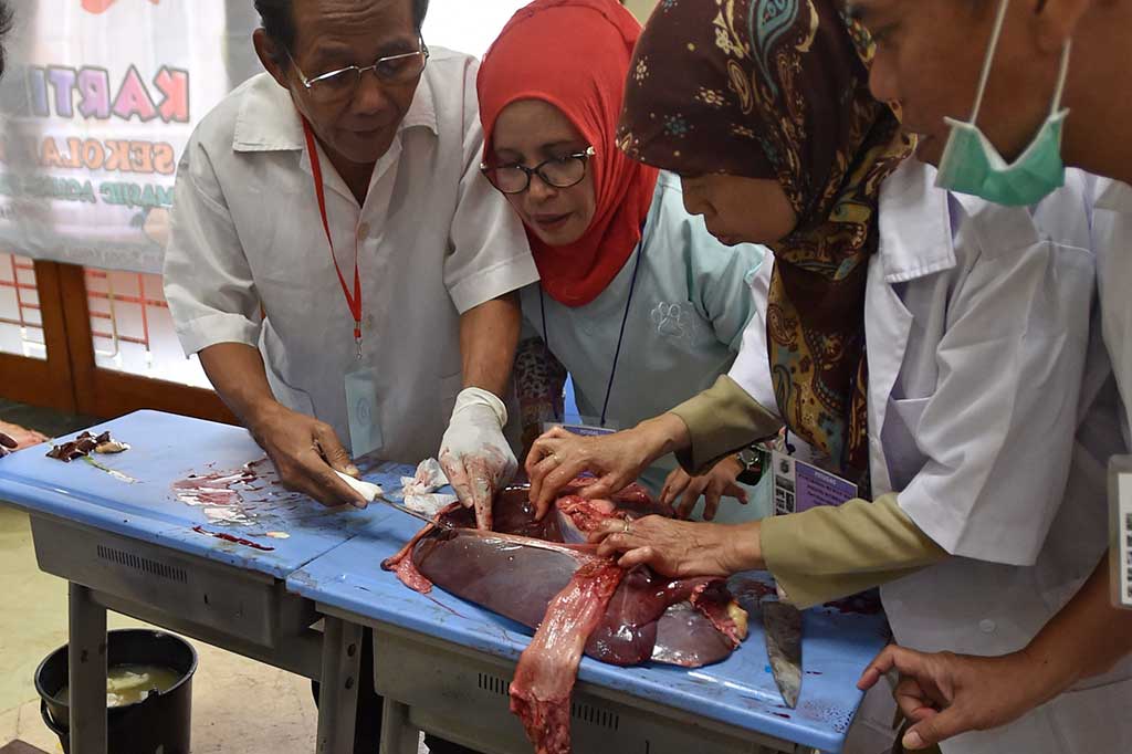 Petugas Periksa Kelayakan Daging Kurban