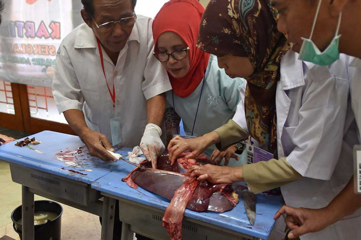 Petugas Periksa Kelayakan Daging Kurban