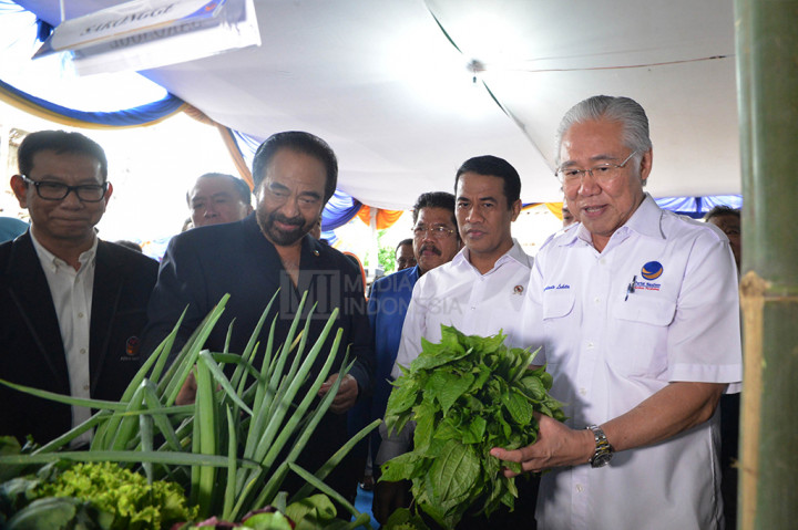 Pembukaan Rakernas Petani NasDem