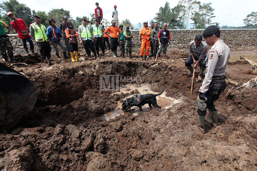 Anjing pelacak mendeteksi bau mayat di kawasan belakang asrama Tarumanegara.