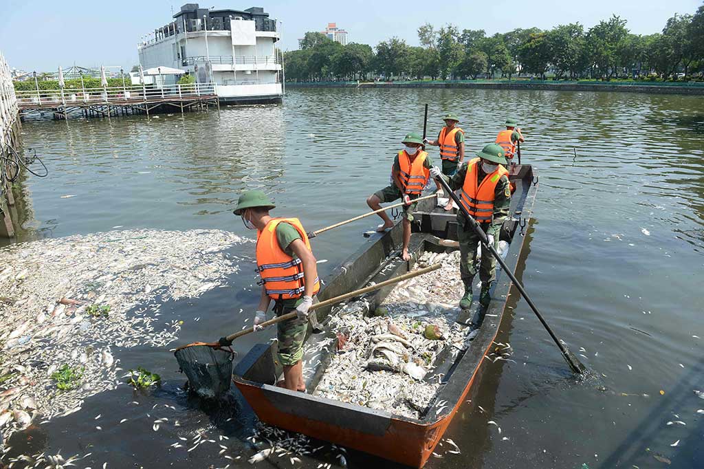 Tentara dikerahkan untuk membersihkan ikan-ikan yang mati dari Danau Ho Tay.
