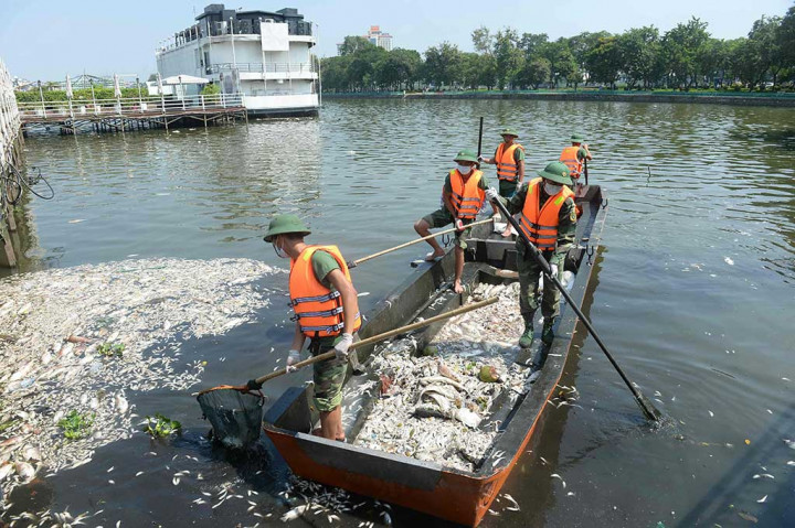 Tentara dikerahkan untuk membersihkan ikan-ikan yang mati dari Danau Ho Tay.