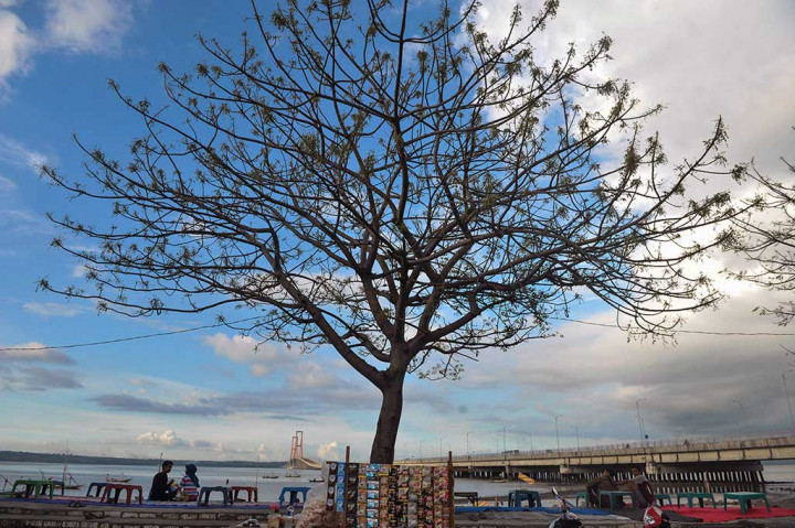 Menikmati Wisata Alternatif Jembatan Suramadu