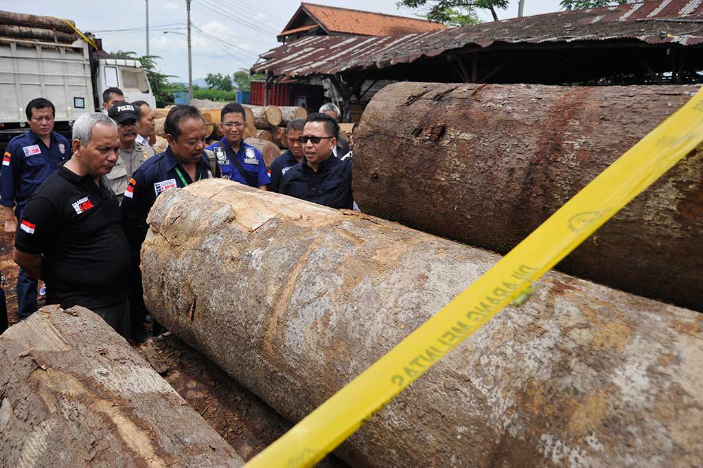 Direktur Jenderal Penegakan Hukum Kementerian Lingkungan Hidup dan Kehutanan Rasio Ridho Sani (kanan) bersama staf memeriksa kayu selundupan asal Sumatera yang disita di Kasemen, Serang, Banten, Rabu (5/10/2016).