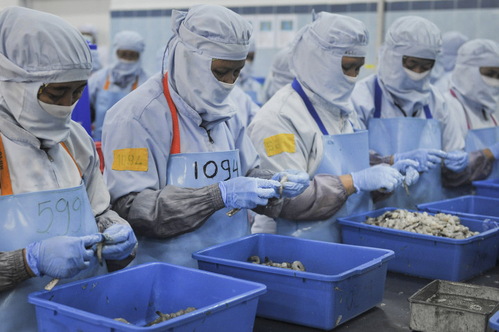 Buruh membersihkan udang sebelum dikemas di pabrik pengelolahan ikan PT Kelola Mina Laut, Gresik, Jawa Timur, Kamis (6/10/2016)