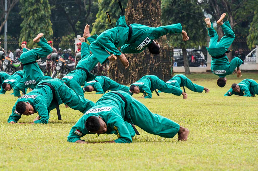 Rangkaian atraksi ditampilkan dalam upacara serah terima jabatan Danjen Kopassus, di antara atraksi beladiri Yong Moodo.