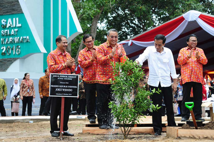 Presiden Jokowi didampingi Wakil Ketua MPR Oesman Sapta Odang (kanan), Sekretaris Negara Pramono Anung (kedua kiri), Menteri Desa, Pembangunan Daerah Tertinggal dan Transmigrasi Eko Putro Sandjojo (ketiga kiri) dan Menteri Pariwisata Arief Yahya (kiri) menanam pohon jeruk dalam rangka Sail Karimata 2016.