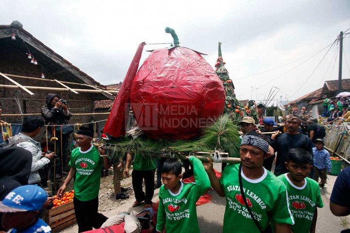 Warga mengarak replika tomat raksasa menjelang tradisi Perang Tomat.
