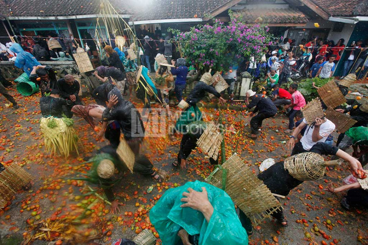 Warga saling melempat tomat busuk pada ajang Perang Tomat.