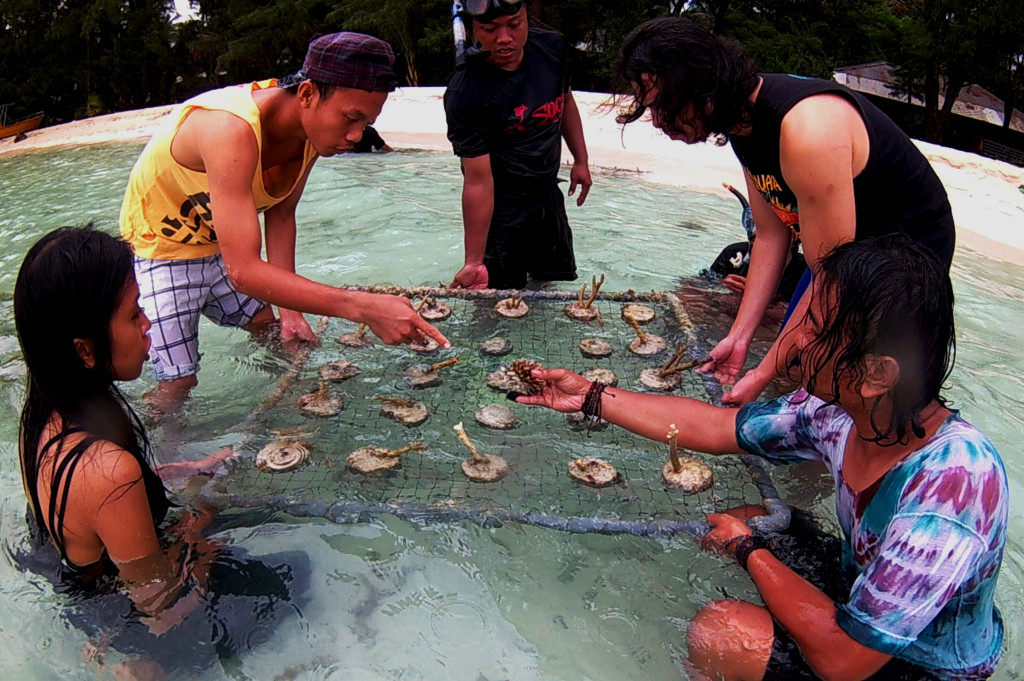 Wisatawan Asing Ikut Tanam Terumbu Karang di Pulau Menjangan Kecil
