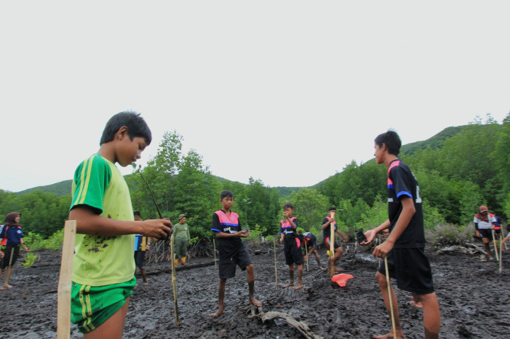 Serunya Tanam Mangrove di Hutang Lindung Karimunjawa