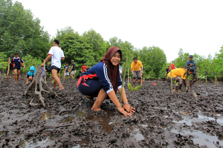 Serunya Tanam Mangrove di Hutang Lindung Karimunjawa