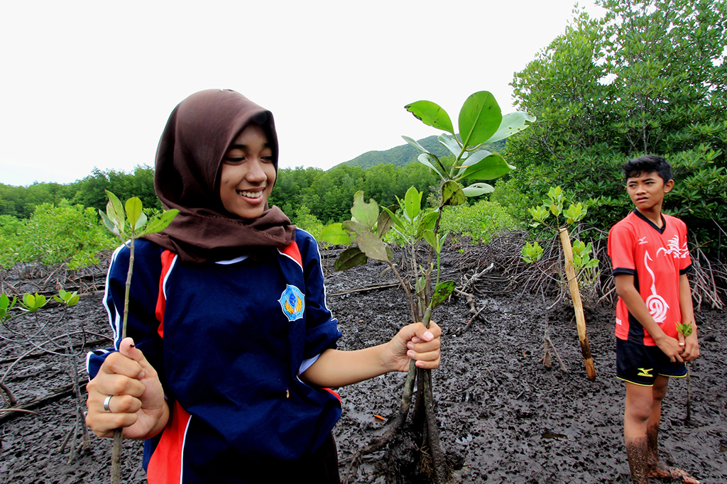 Serunya Tanam Mangrove di Hutang Lindung Karimunjawa