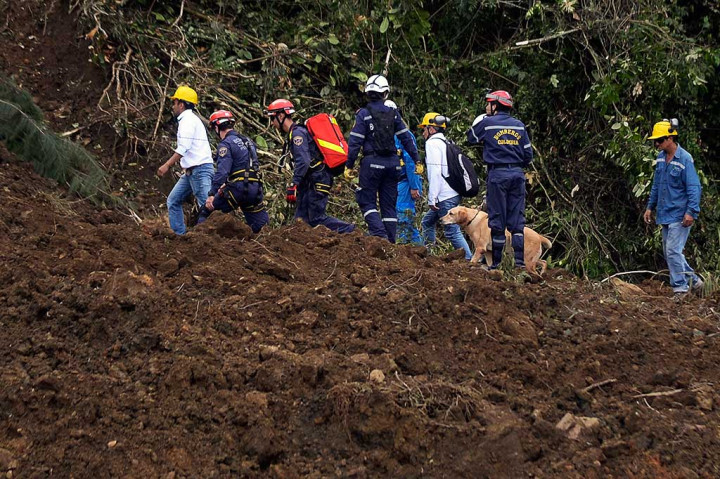 Petugas dibantu anjing pelacak mencari korban yang diduga terkubur longsoran tanah.