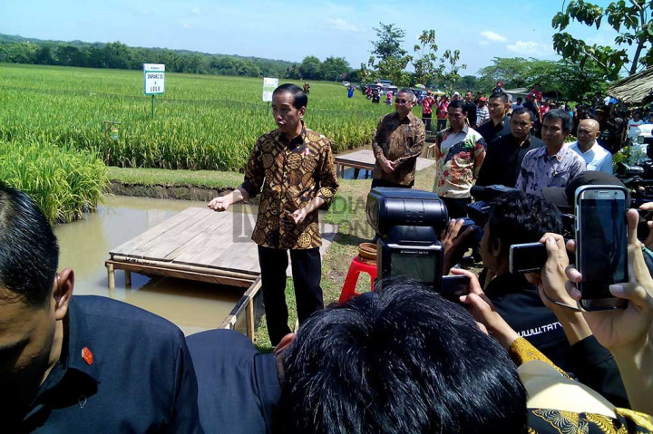 Presiden Jokowi meninjau teknologi minapadi Jajar Legowo Super yang diharapkan dapat membantu mendongkrak produksi padi nasional.