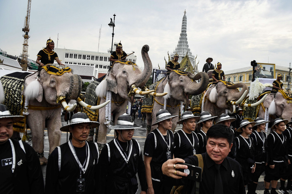 Barisan gajah Ayutthaya bersama pawang menuju Grand Palace, tempat jenazah Raja Bhumibol Adulyadej disemayamkan, Selasa (8/11/2016).