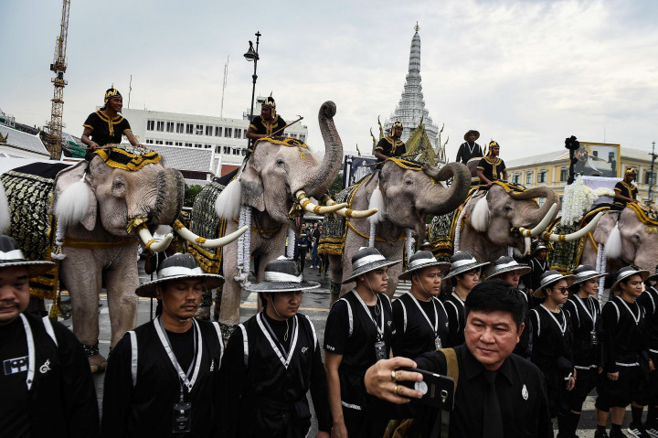 Barisan gajah Ayutthaya bersama pawang menuju Grand Palace, tempat jenazah Raja Bhumibol Adulyadej disemayamkan, Selasa (8/11/2016).
