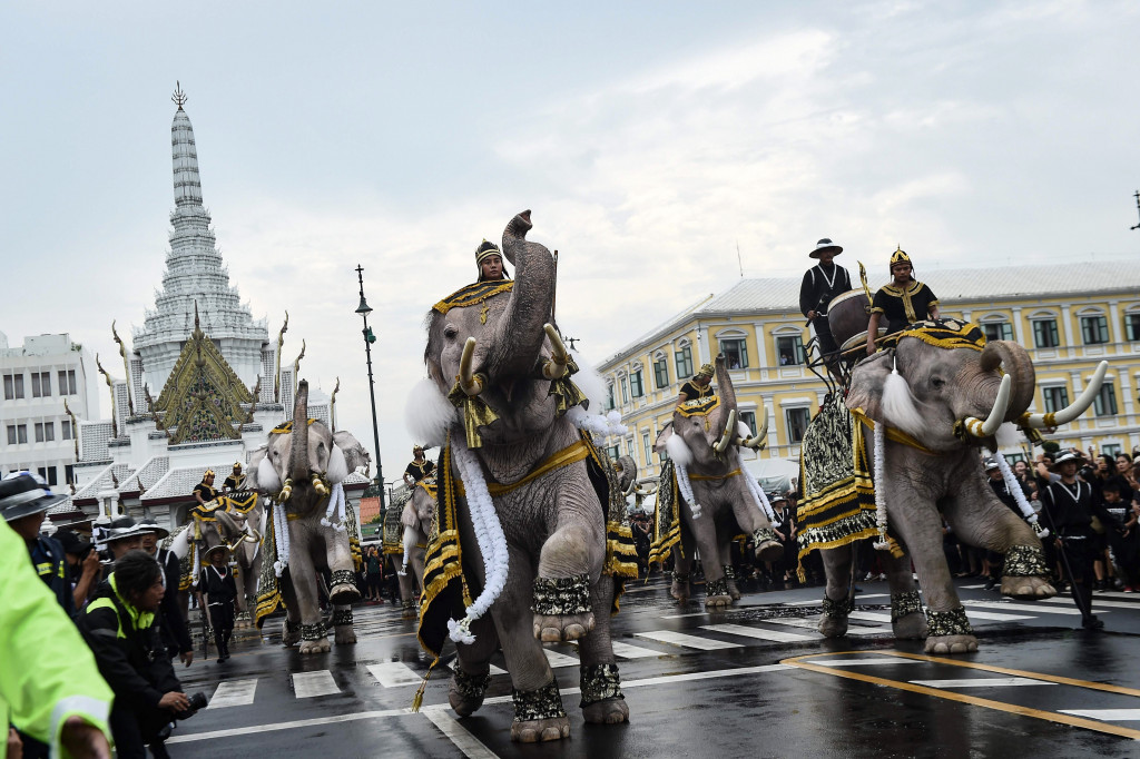 Sejumlah gajah memberikan penghormatan terakhir untuk mendiang Raja Thailand Bhumibol Adulyadej di Bangkok, Thailand, Selasa (8/11/2016)