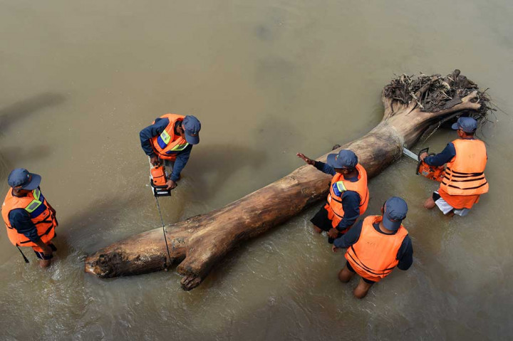 Petugas memotong kayu yang melintang di sungai untuk kemudian dievakuasi untuk mengantisipasi banjir.