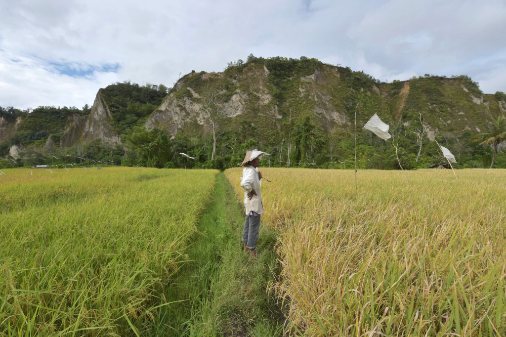 Ngarai Sianok, Bukittinggi, Sumatera Barat