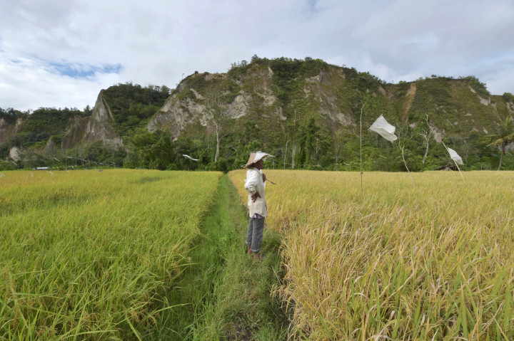 Ngarai Sianok, Bukittinggi, Sumatera Barat