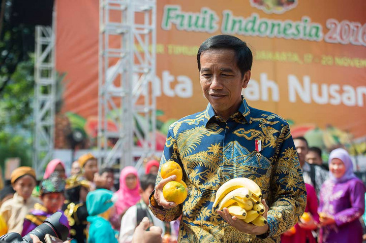 Presiden Joko Widodo membawa buah jeruk dan pisang lokal asli Indonesia untuk dibagikan kepada pengunjung pada acara pembukaan Fruit Indonesia 2016 di Parkir Timur, Gelora Bung Karno, Senayan, Jakarta.