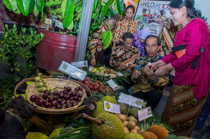  Presiden dan Ibu Negara Ny Iriana Joko Widodo (kanan) didampingi Menko Perekonomian Darmin Nasution (kiri), Mentan Amran Sulaiman (ketiga kiri) dan Menteri BUMN Rini Soemarno (kedua kiri) mencicipi berbagai buah lokal asli Indonesia yang dipamerkan pada acara Fruit Indonesia 2016.