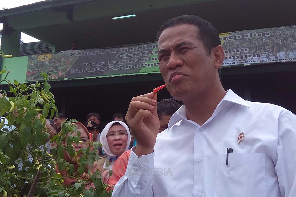 Mentan mengatakan, upaya gerakan menanam cabai ini merupakan cara efektif untuk mengatasi melonjaknya harga yang selama ini terus terjadi.