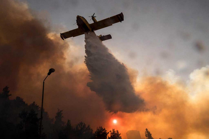 Pemerintah Israel mengerahkan pesawat untuk  emadamkan api di Kota Haifa, Israel bagian Utara.