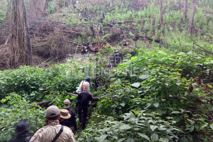 BNN menemukan ladang ganja di lahan seluas 1,2 hektare di wilayah perbukitan Desa Lamteuba, Kecamatan Seulimeum, Kabupaten Aceh Besar, Aceh.