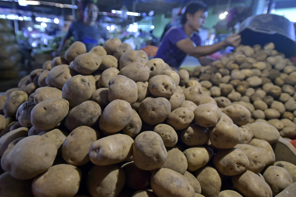 Kemendag Minta Hentikan Impor Kentang