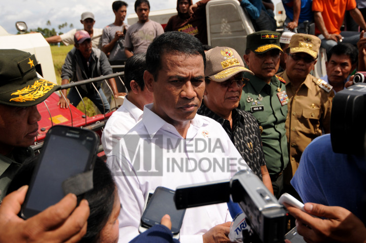 Menteri Pertanian Panen Raya Padi di Poso