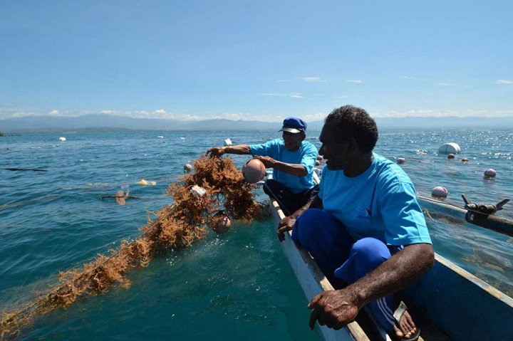 Petani membersihkan sampah yang tersangkut di rumput laut di Desa Kabonga Besar, Donggala, Sulawesi Tengah, Jumat (16/12/2016).