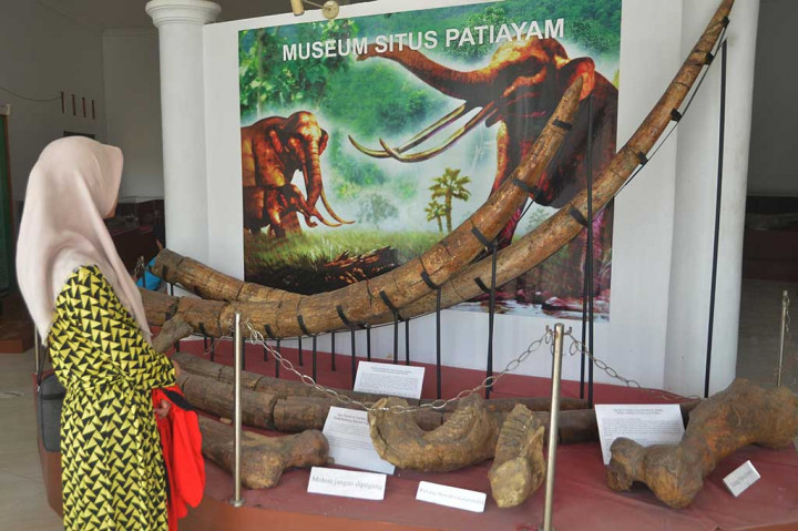 Kunjungi Museum Situs Pati Ayam