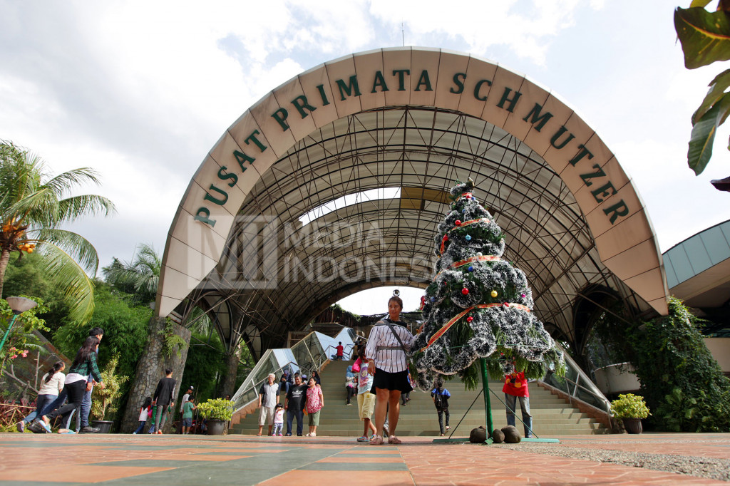 Dekorasi pohon natal di Taman Marga Satwa Ragunan, Jakarta.