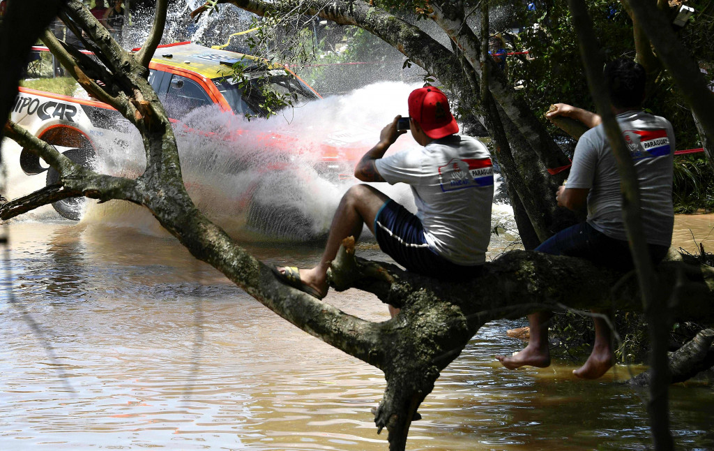 Posisi menonton terbaik tentu di atas pohon. Tapi jumlah 'seat' sangat terbatas. AFP Photo/Franck Fife
