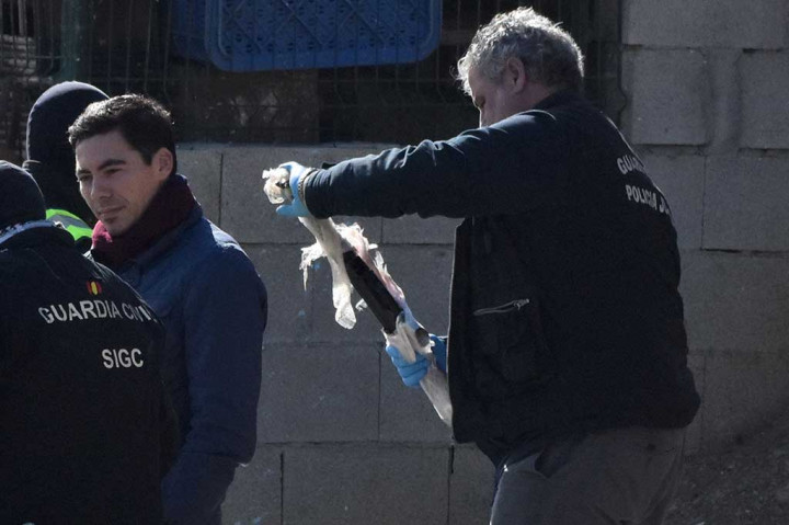Polisi Spanyol memeriksa senjata yang ditemukan.