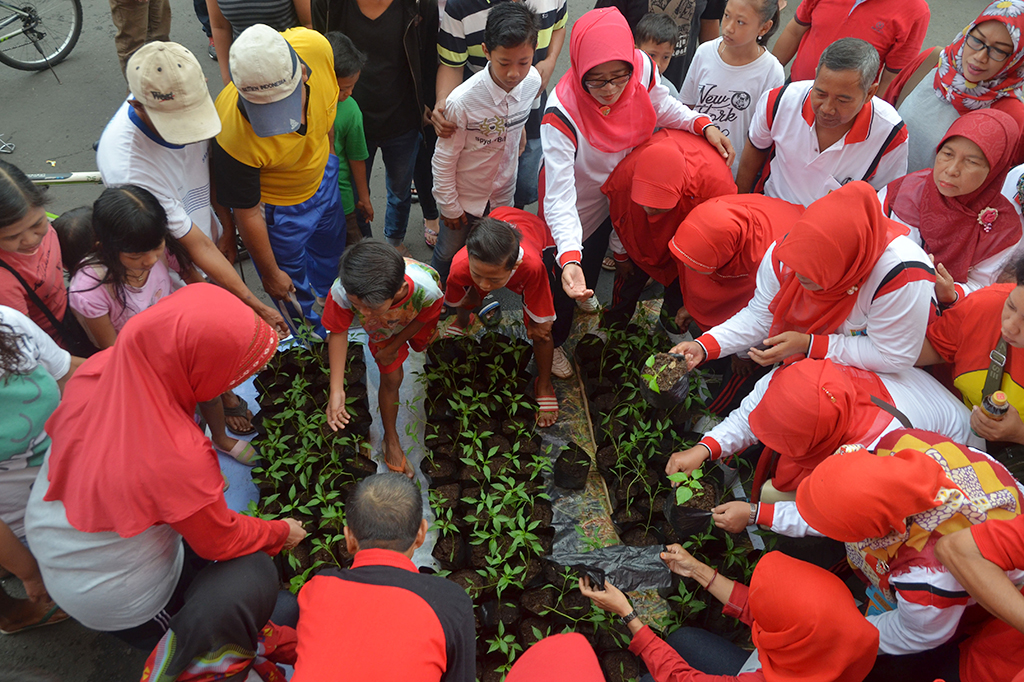 Dharma Wanita Kudus Bagikan Bibit Cabai Gratis