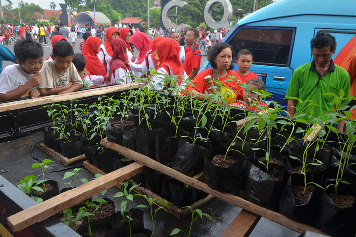 Dharma Wanita Kudus Bagikan Bibit Cabai Gratis