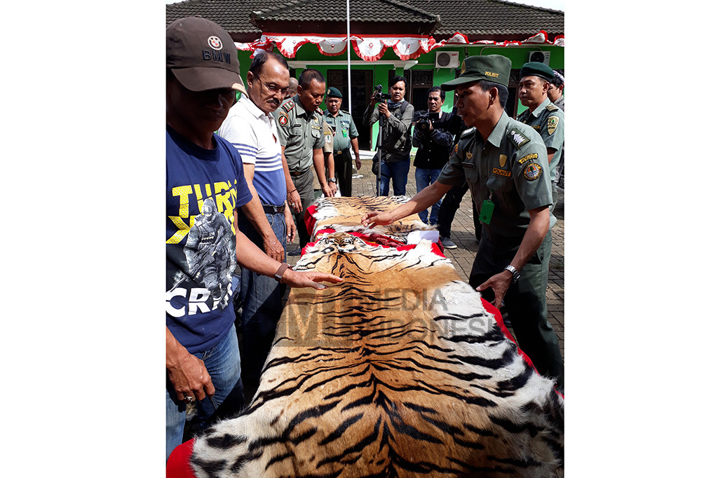 Ketiga pelaku masing-masing berinisial KS (62), serta anak menantunya berinisial MJ dan H. Turut diamankan barang bukti berupa dua lembar kulit Harimau Sumatera, satu unit mobil Daihatsu Xenia dan empat unit ponsel.