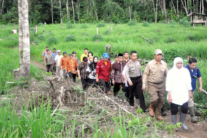 Mensos Khofifah Indar Parawansa, didampingi Wagub Jambi Fachrori Umar, Plt Bupati Sarolangun Arif Munandar bersama rombongan saat akan meresmikan 23 unit rumah bantuan Kemensos untuk Suku Anak Dalam Jambi.