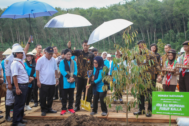 Ibu Iriana bersama Mufidah Kalla dan anggota Organisasi Aksi Solidaritas Era Kabinet Kerja (OASE KK), yakni para istri menteri di Kabinet Kerja, didampingi Menteri Pekerjaan Umum dan Perumahan Rakyat (PUPR) Basuki Hadimuljono menanam ratusan bibit tanaman buah durian di Desa Gondang, Kecamatan Kerjo Karanganyar.