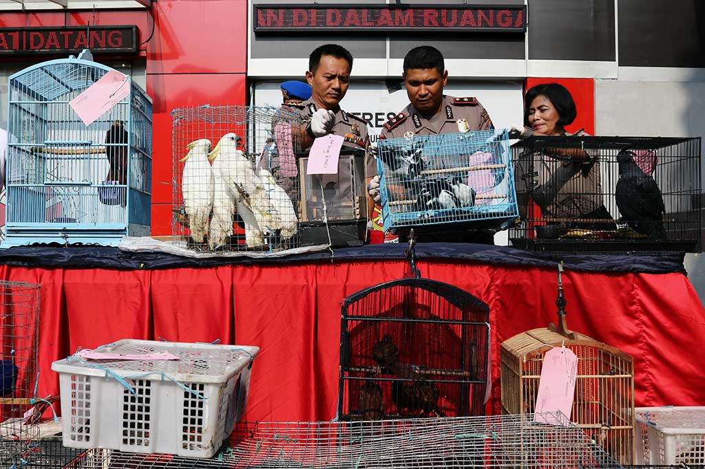 Kapolres Pelabuhan Tanjung Perak Surabaya AKBP Ronny Suseno (kiri) menunjukkan sejumlah barang bukti saat rilis penyelundupan satwa dilindungi di Polres Pelabuhan Tanjung Perak, Surabaya, Jawa Timur, Jumat (24/2/2017).