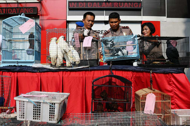 Kapolres Pelabuhan Tanjung Perak Surabaya AKBP Ronny Suseno (kiri) menunjukkan sejumlah barang bukti saat rilis penyelundupan satwa dilindungi di Polres Pelabuhan Tanjung Perak, Surabaya, Jawa Timur, Jumat (24/2/2017).